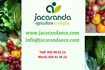 Jacaranda Agricultura Ecológica