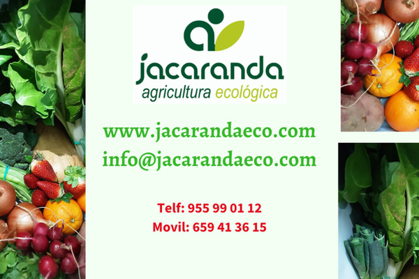 Somos una empresa sin ánimo de lucro que produce fruta y verdura ecológica. Vendemos cestas de fruta y verdura ecológica.